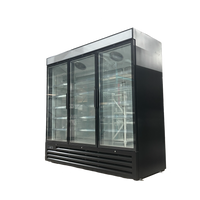 Alaska-Line 80.3'' Three Glass Door Freezer HIT-608 | SKU: FRZ-HIT-608