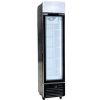 17'' Alaska-Line Single Door Slim Freezer 185L HIT-810 | SKU: FRZ-HIT