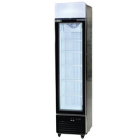 17'' Alaska-Line Single Door Slim Freezer 185L HIT-810 | SKU: FRZ-HIT