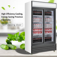 40" Alaska-Line Double Sliding Glass Door Cooler 28 Cu.Ft., HIT-803 | SKU: CLR-HIT-803